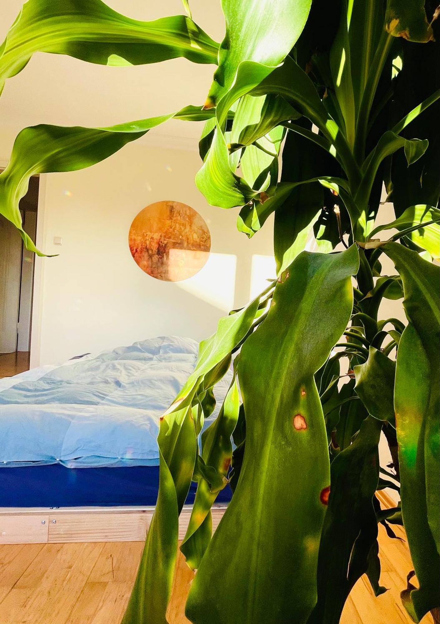Appartement Helle, Grosse, Zentrale Mit Balkon